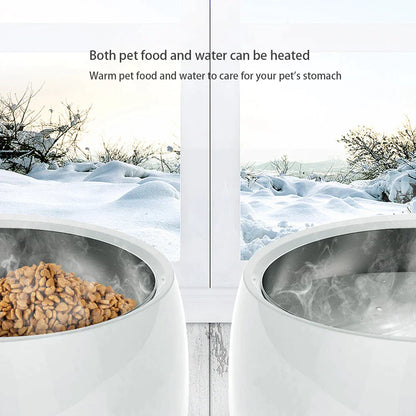 Pet Thermal Feeder