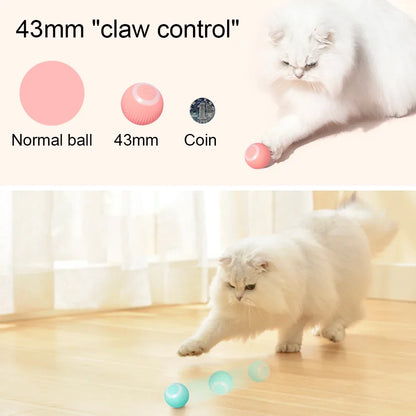 Interactive Pet Ball