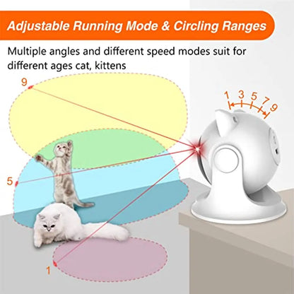 Automatic Laser for Cats